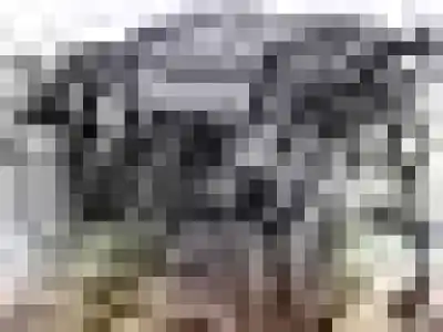 Second-hand car spare part COMPLETE ENGINE for CHRYSLER NEON (PL)  OEM IAM references 420H  