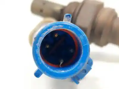 Peça sobressalente para automóvel em segunda mão sonda lambda por ford focus berlina (cak) g/fydb referências oem iam 98ab9g444bb  