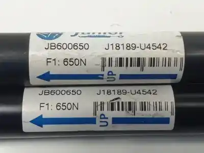 Автозапчасти б/у амортизаторы багажника/двери за ford s-max (ca1) qxwa ссылки oem iam jb600650  
