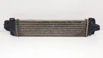Pezzo di ricambio per auto di seconda mano intercooler per ford focus cabrio (ca5) g6db riferimenti oem iam   