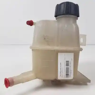 Автозапчасти б/у расширительный депозит за renault koleos m9r832 ссылки oem iam 2243061000