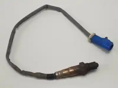 Peça sobressalente para automóvel em segunda mão SONDA LAMBDA por FORD FOCUS BERLINA (CAP)  Referências OEM IAM 3M519G444BB  
