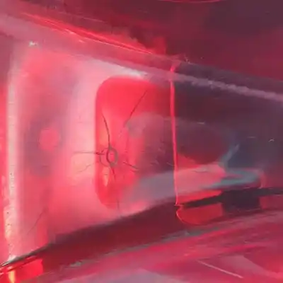 Second-hand car spare part right tailgate light for smart cabrio 132910 oem iam references a4518200464  509004