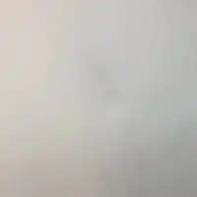 Peça sobressalente para automóvel em segunda mão capot por lexus ls430 (ucf30) 3uzfe referências oem iam   