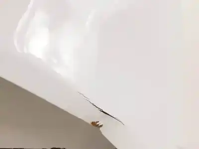 Pezzo di ricambio per auto di seconda mano cofano per jeep compass ene riferimenti oem iam   