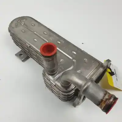 Автозапчасти б/у охладитель рог за volkswagen passat variant (3c5) bkp ссылки oem iam 03g131513j