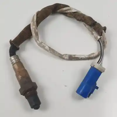 Peça sobressalente para automóvel em segunda mão sonda lambda por ford focus berlina (cap) hxda referências oem iam 3m519g444dc