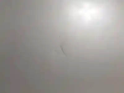 Second-hand car spare part bonnet for ssangyong kyron d/d20dt oem iam references   