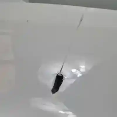 Second-hand car spare part rear bumper for audi a3 (8p) bls oem iam references   