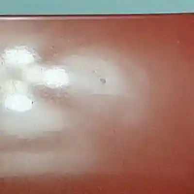 Peça sobressalente para automóvel em segunda mão capot por seat leon (1p1) bse referências oem iam   