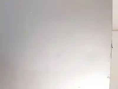 Second-hand car spare part trunk lid for bmw serie 3 coupe (e46) m57d30.306d2 oem iam references   