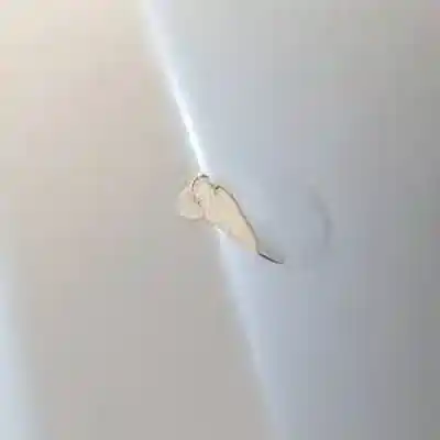 Peça sobressalente para automóvel em segunda mão capot por ssangyong rodius d/d27dt referências oem iam   