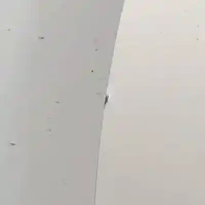 Second-hand car spare part left front door for ford ka (ccu) fp4.169a4000 oem iam references   