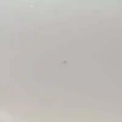 Peça sobressalente para automóvel em segunda mão porta de correr direita por citroen nemo (vp) 199a9000.fhz.f13dte5 referências oem iam   