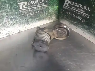 Pezzo di ricambio per auto di seconda mano tendicinghia ausiliaria per seat leon (1m1) 1.6 riferimenti oem iam 032145299a  