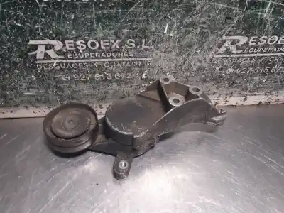 Pezzo di ricambio per auto di seconda mano tendicinghia ausiliaria per seat leon (1m1) 1.9 tdi riferimenti oem iam 038903315  