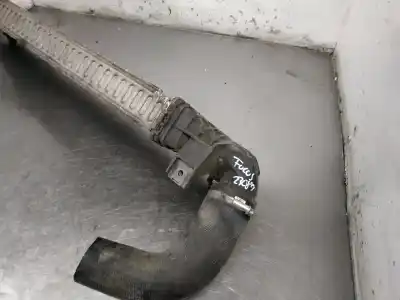 Peça sobressalente para automóvel em segunda mão intercooler por ford focus berlina (cap) ambiente (d) referências oem iam   