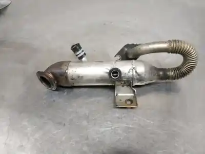 Pezzo di ricambio per auto di seconda mano Raffreddatore Egr per FORD FOCUS BERLINA (CAK) 1.8 TDDI Turbodiesel CAT Riferimenti OEM IAM   