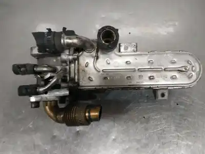 Pezzo di ricambio per auto di seconda mano raffreddatore egr per seat leon (1p1) reference riferimenti oem iam 038131513ad  