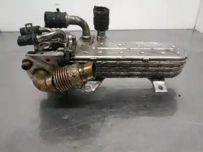 Pezzo di ricambio per auto di seconda mano raffreddatore egr per seat leon (1p1) reference riferimenti oem iam 038131513ad  