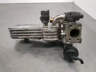 Pezzo di ricambio per auto di seconda mano RAFFREDDATORE EGR per SEAT LEON (1P1)  Riferimenti OEM IAM 038131513AD  