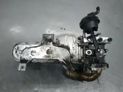 Pezzo di ricambio per auto di seconda mano raffreddatore egr per seat leon (1p1) reference riferimenti oem iam 038131513ad  