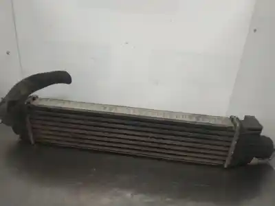 Peça sobressalente para automóvel em segunda mão intercooler por ford focus berlina (cap) ambiente (d) referências oem iam   