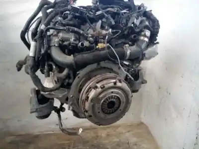 Recambio de automóvil de segunda mano de motor completo para audi a5 coupe (f53) s line edition referencias oem iam det  