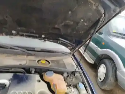 Автозапчасти б/у амортизатор капота за audi a4 b5 (8d2) 1.9 tdi ссылки oem iam 1d0823350a