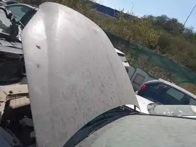 Pezzo di ricambio per auto di seconda mano cofano per ssangyong korando d20dtf riferimenti oem iam 