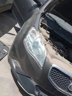 Pezzo di ricambio per auto di seconda mano faro anteriore destro per ssangyong korando d20dtf riferimenti oem iam 