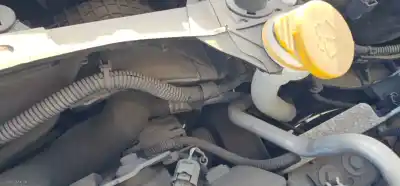 Автозапчасти б/у чистый депозит за renault kangoo ii (f/kw0) k9kb6 ссылки oem iam 