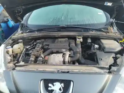 Peça sobressalente para automóvel em segunda mão Amortecedor De Pára Choques Dianteiro por DAEWOO MATIZ (M100, M150) 1.0 Referências OEM IAM   