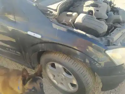 Recambio de automóvil de segunda mano de aleta delantera derecha para ssangyong actyon 200 xdi referencias oem iam 