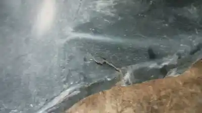 Автозапчасти б/у передняя правая колесная арка за volkswagen caddy ka/kb (2k) bst ссылки oem iam 1t0805912  