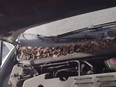 Pezzo di ricambio per auto di seconda mano braccio tergicristallo anteriore destro per alfa romeo alfa gt (125) 1.9 jtd riferimenti oem iam 