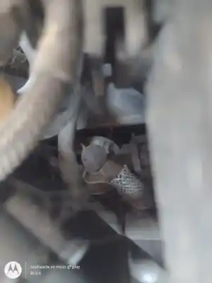 Second-hand car spare part complete engine for citroen c3 i (fc_, fn_) 1.4 hdi oem iam references 8hz  