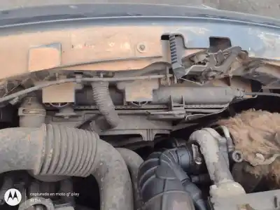 Pezzo di ricambio per auto di seconda mano Radiatore D Acqua per CITROEN C3 I (FC_, FN_) 1.4 HDI Riferimenti OEM IAM   