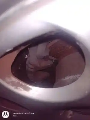 Автозапчастина б/у задній правий гальмівний супорт для audi a6 c5 (4b2) 1.9 tdi посилання на oem iam 