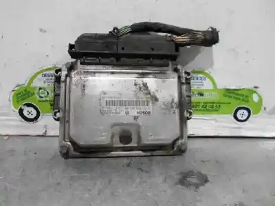 İkinci el araba yedek parçası ECU MOTOR KONTROL CIHAZI için RENAULT SCENIC (JA..)  OEM IAM referansları 8200199726  0281010442