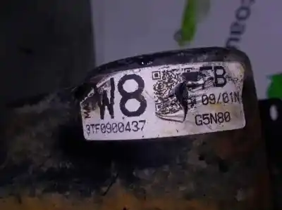 Pezzo di ricambio per auto di seconda mano riduttore per mazda premacy (cp) 2.0 td riferimenti oem iam g5n80  3tf0900437