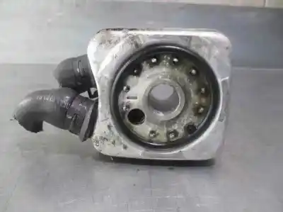 Peça sobressalente para automóvel em segunda mão RADIADOR DE ÓLEO DO MOTOR por VOLKSWAGEN PASSAT BERLINA (3B2)  Referências OEM IAM 068117021B  068117021BX