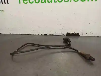 Peça sobressalente para automóvel em segunda mão sonda lambda por volkswagen phaeton (3d2/3d8) 3.2 v6 24v referências oem iam 022906262