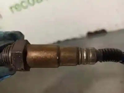 Peça sobressalente para automóvel em segunda mão sonda lambda por kia cee´d 1.6 crdi cat referências oem iam 393502a420  0281004069