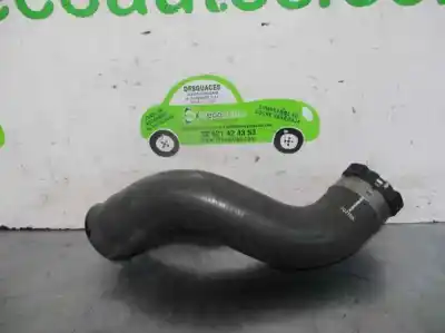 Автозапчастина б/у труба для dacia sandero ii 1.5 dci посилання на oem iam 102165  877031518181024