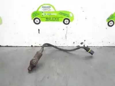 Peça sobressalente para automóvel em segunda mão sonda lambda por bmw serie 3 compacto (e36) 1.6 cat referências oem iam 117817413179