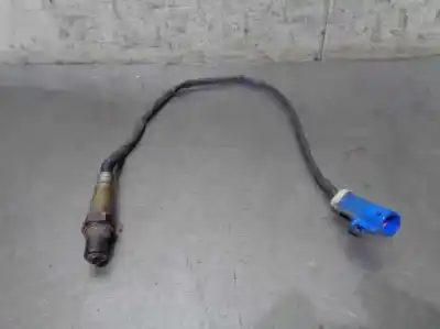 Peça sobressalente para automóvel em segunda mão sonda lambda por ford focus cabrio (ca5) 2.0 cat referências oem iam 3m519g444ab