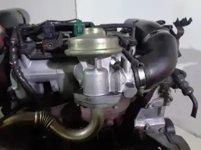 İkinci el araba yedek parçası komple motor için ford focus berlina (cak) 1.8 tdci cat oem iam referansları   