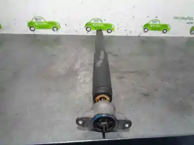 Peça sobressalente para automóvel em segunda mão amortecedor traseiro direito por ford focus lim. 1.0 ecoboost cat referências oem iam bv6118080lab  