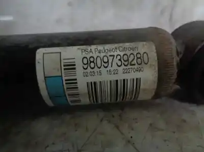 Peça sobressalente para automóvel em segunda mão amortecedor traseiro direito por citroen c4 cactus 1.6 hdi 90 referências oem iam 9809739280  